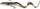 Karrem gome Savage Gear Real Eel, 20cm, 38g, perlë e gjelbër, 1 copë (44991)