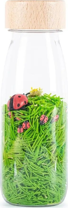 Lodër ndijore Petit Boum Ladybirds, shishe senzoriale, 3m+, transparente