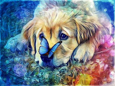 Set mozaik me diamant “Dog With Butterfly”, pikturë dekorative, shumëngjyrëshe