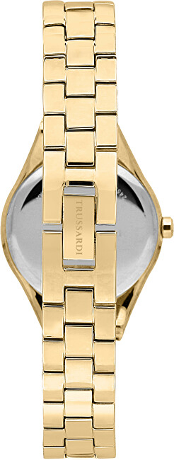 Orë dore TRUSSARDI R2453159501