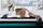 Tapet për dritare për mace Warm Window Sill Velvet, 25x70cm, i zi