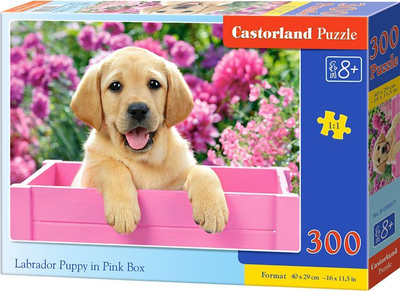 Puzzle Castorland, 300 elemente