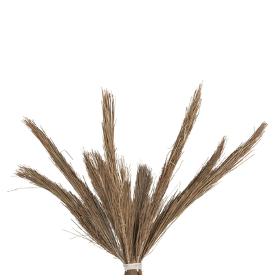 Pemë dekorative Tropic 280Hcm (HM4324)