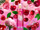 Sprej për trup Playboy, Feeling Flirty, 250 ml
