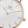 Orë dore Daniel Wellington Petite 28 Melrose RG DW00100219