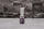 Blender me enë Berlinger Haus BH-9416, 250W, 500ml, i zi me argjend