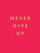 Never Give Up - Summersdale Publishers