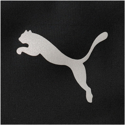 Çantë Puma, 1929433-25121427