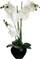 Декоративно цвете орхидеја Atmosphera Orchid, 53 cm, во црна вазна