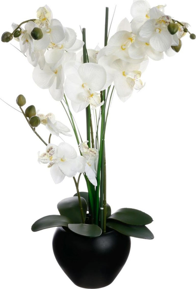 Декоративно цвете орхидеја Atmosphera Orchid, 53 cm, во црна вазна