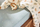 Mbulese e holle Muslin 70x70cm Roarsome (3cope)