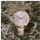 Orë dore Oui & Me Petite Fleurette ME010064