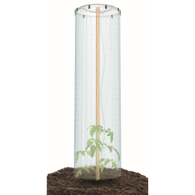 Set për rritje domatesh TOMATO GROWER CAP, tunel plastik, 38.5 cm, transparent