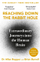 Reaching Down The Rabbit Hole - Allan Ropper