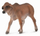 Фигура играчка Collecta Red Brahman Calf, големина S, црвена
