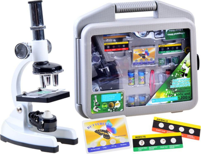 Lodër puzzle Rainbow Snake ZA4396, 36 copa, me shumë ngjyra