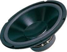 Bokse për makinë Dibeisi DBS-G1001, 10\", 110W, 8 Ohm