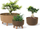 Vazo lulesh Prosperplast Gracia Standard Eco Wood DGRL400W, plastike, pamje dru natyral, e kafe