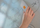Gomë fshirëse magnetike për tabela Nobo Board Eraser NOBO, me insert të zëvendësueshëm, e bardhë