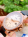 Orë Casio Collection MTP-E173RL-5AVEF (006), e zezë/artë