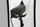 Sfond fotografik Manfrotto HiLite 8x7ft, i bardhë, palosës