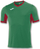 Фудбалски дрес Joma Champion IV Jr 100683.456, за деца, полиестер, зелен