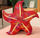 Lodër pelushi Mascot Starfish, jastik 20 cm, e kuqe