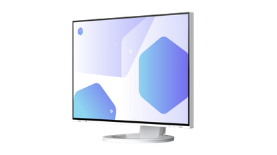 Monitor EIZO FlexScan EV2485-WT, 24", IPS, FHD+, i zi