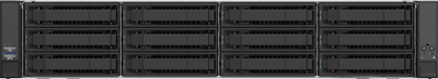 Server Intel M50CYP2UR312, 2U Rack, Xeon, i zi