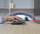 Set tastierë + maus Logitech MK235, US