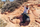 Çantë shpine për hiking Gregory Baltoro Pro, 85 L