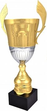 Спортска купа Викторија Спорт 4128B, метал, златна и сребрена