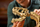 Set LEGO Dinosaur Fossils Tyrannosaurus Rex, model ndërtimi, dekor ekspozite, shumëngjyrësh