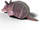 Puzzle 3D kartoni EUGY Armadillo, model për zbukurim, me ngjyra plot