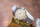 Orë dore Skagen Anita SKW2649, woman