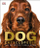 Dog Encyclopedia - Nn