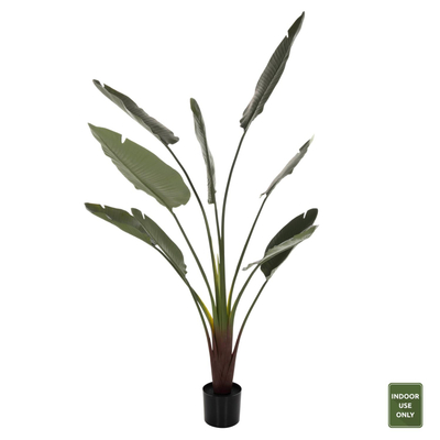Bimë sintetike Strelitziaceae në vazo (HM7980)