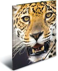 Folder dokumentesh Herma Leopard 7142, A3, me lastik, shumëngjyrësh