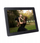 Kornizë digjitale Braun DigiFrame 1594, 15", 16GB, e zezë