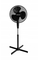 Freskuese Ravanson 40cm