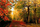 Set mozaik diamanti Norimpex Autumn Forest, dekor murale, pamje pylli vjeshte, shumëngjyrësh