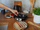 Aparat për waffle Eldom AK-2149, 1200W, pllaka jo ngjitëse, i zi