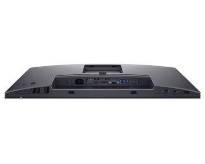 Monitor Dell P2425H, 23.8", Full HD, 100Hz