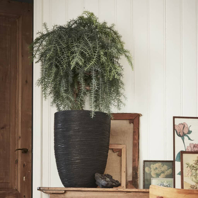 Vazo Capi Europe Elegant Low Rib NL 46x58, plastike, e zezë