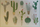 Kartolinë Turnowsky MO7475 Cacti, format B6, me zarf, shumëngjyrëshe
