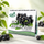 Çaj Aronia 90g