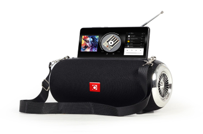 Bluetooth звучник Gembird SPK BT 17, пренослив, FM радио, црн