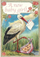 Kartë urimi Madame Treacle Birth Stork Girl, format B6, me zarf, me shumë ngjyra