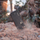 Telefon UleFone Armor 11 5G 8 / 256GB Dual SIM, i zi