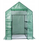 Serë kopshti Dedra Garden Greenhouse, 143x143x195 cm, mbulesë PE, jeshile